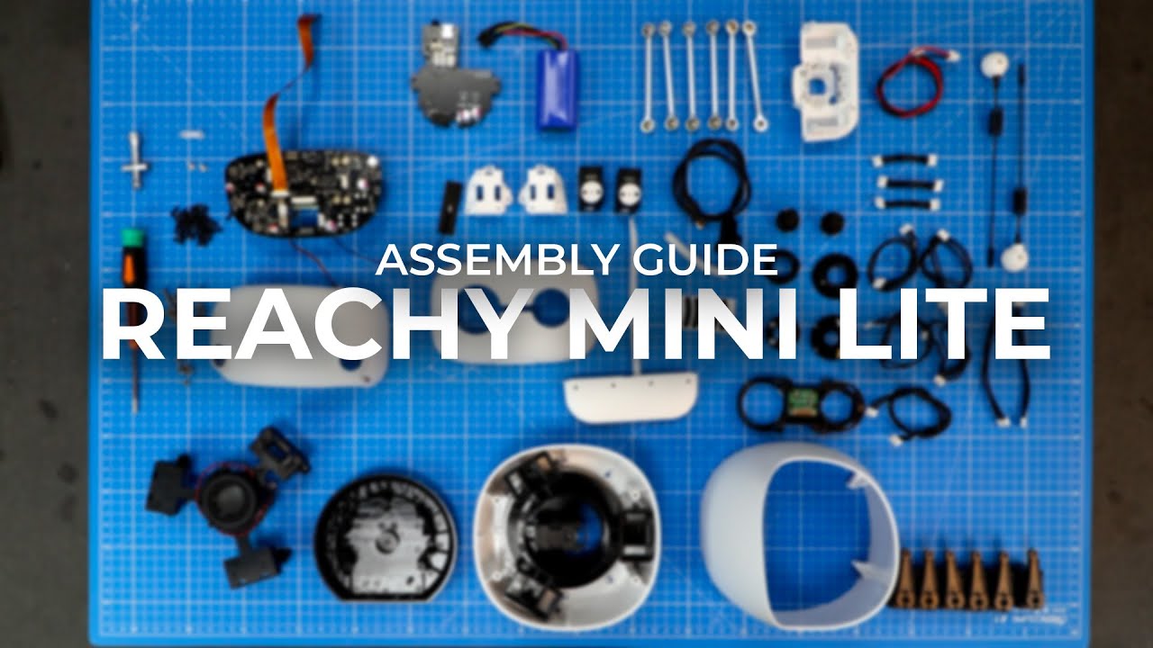 Reachy Mini Lite